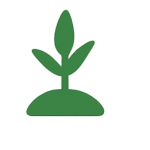 sustainable farming(4)